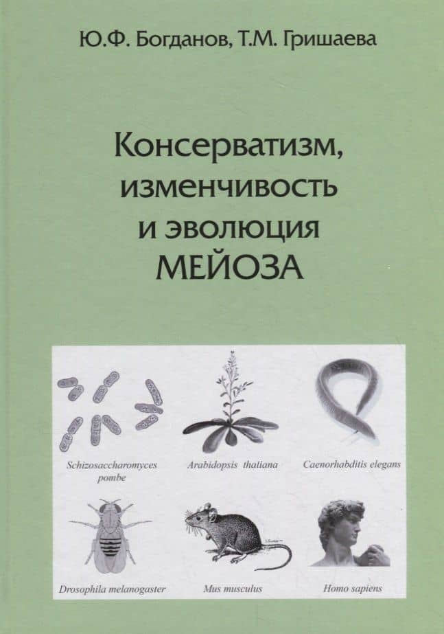 Консерватизм, изменчивость и эволюция мейоза — Юрий Федорович Богданов