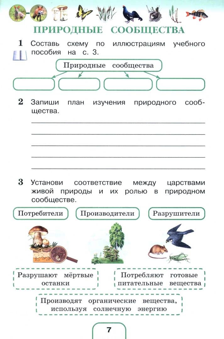 Окружающий мир. 3 класс. Рабочая тетрадь. В 2-х частях. Часть 2. ФГОС — Виктор Дмитриевич Шилин (2)