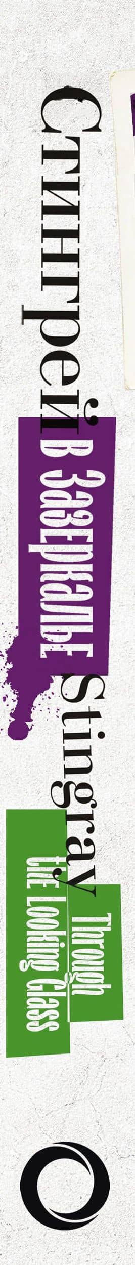 Стингрей в Зазеркалье — Джоанна Стингрей (3)