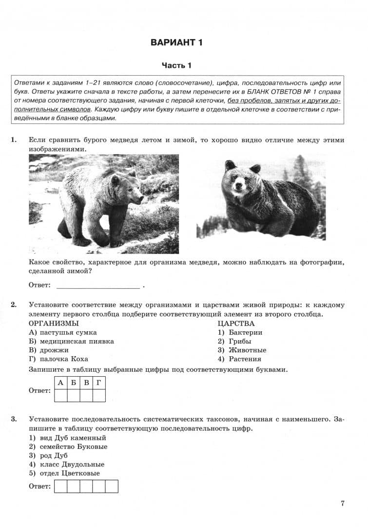 ОГЭ-2025. Биология. 12 вариантов. Типовые варианты экзаменационных заданий от разработчиков ОГЭ — Татьяна Вячеславовна Мазяркина (2)