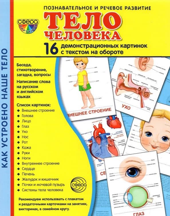 Демонстрационные картинки Тело человека, 16 картинок