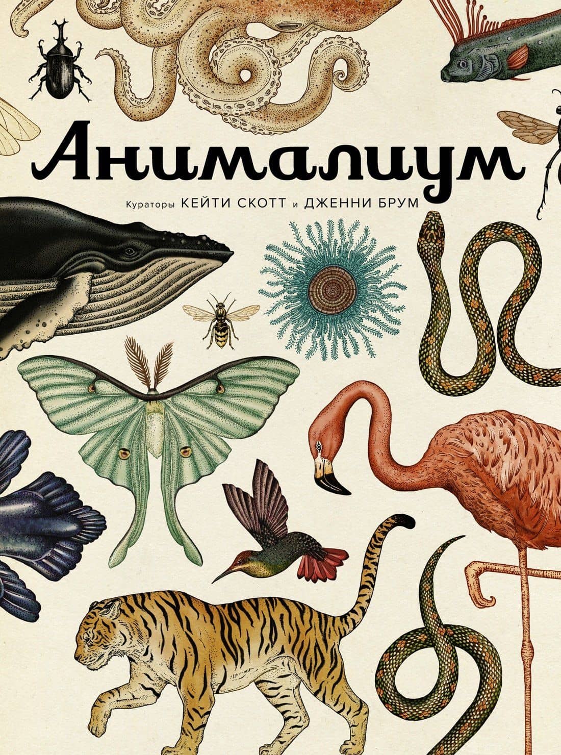 Анималиум — Дженни Брум