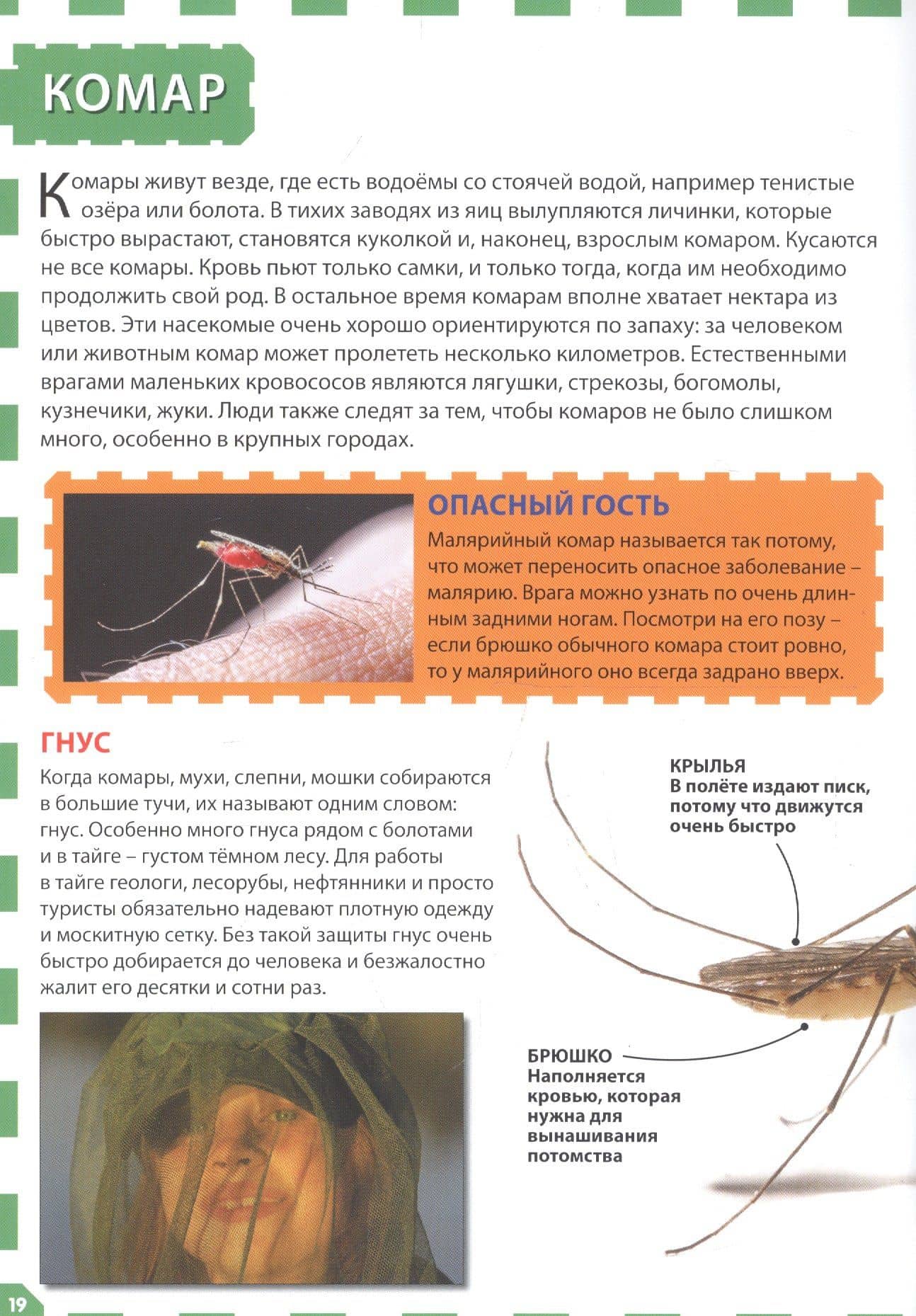 Насекомые (3)