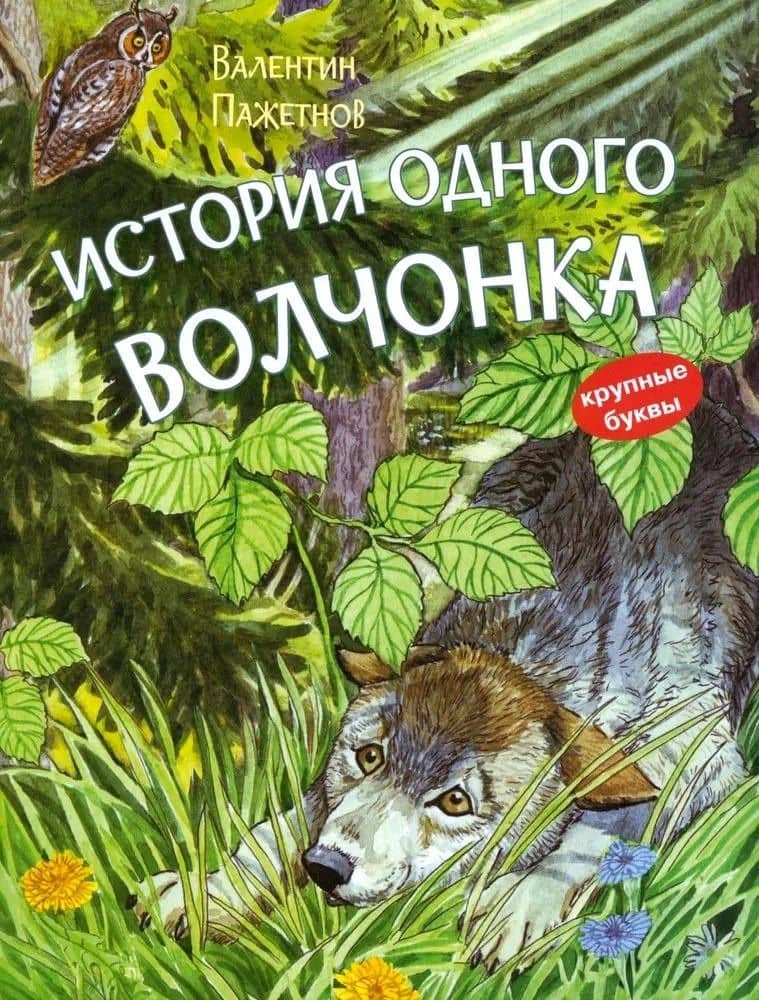 История одного волчонка. Рассказ — Валентин Пажетнов
