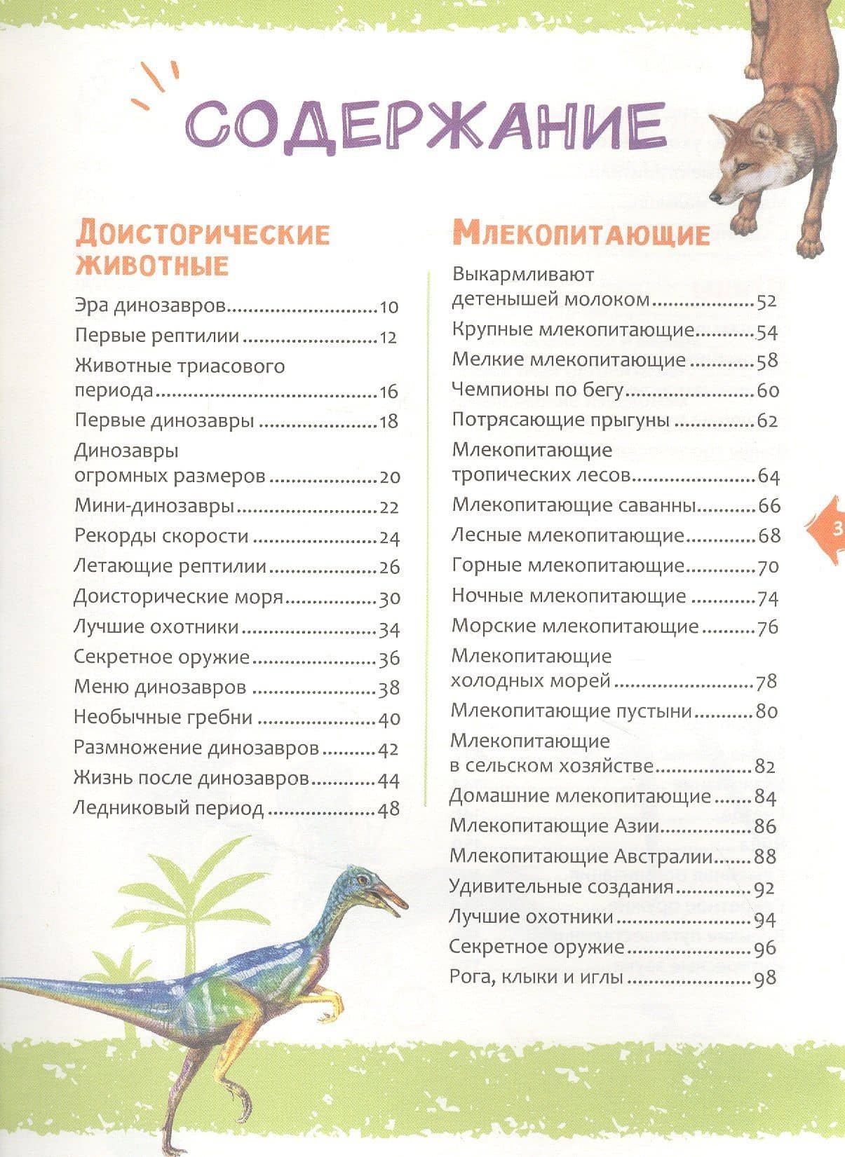 Животные. Новая детская энциклопедия — Франциско Арредондо (2)