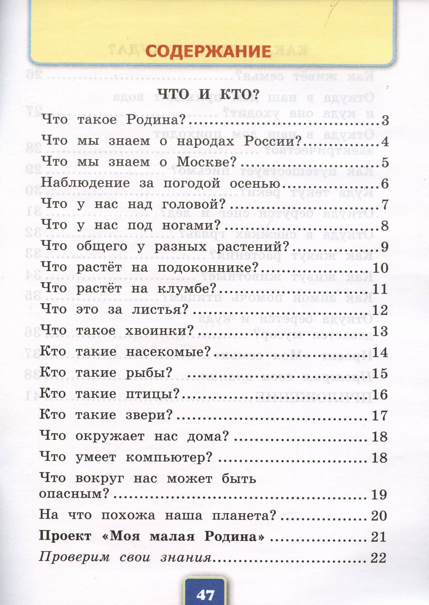 Окружающий мир. Рабочая тетрадь №1. 1 класс. К учебнику А.А. Плешакова "Окружающий мир. 1 класс. В 2-х частях. Часть 1" — Наталья Алексеевна Соколова (2)