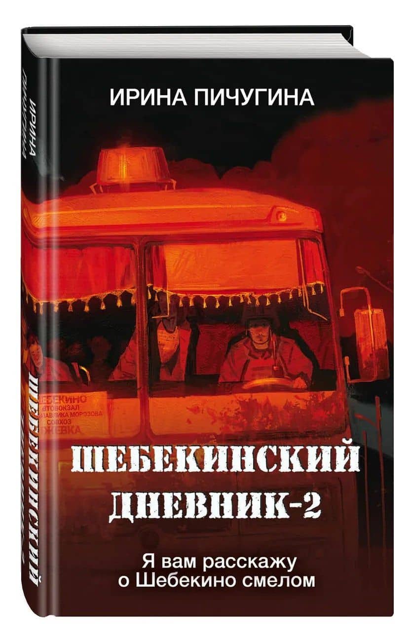 Шебекинский дневник-2. Я вам расскажу о Шебекино смелом — Ирина Николаевна Пичугина (3)
