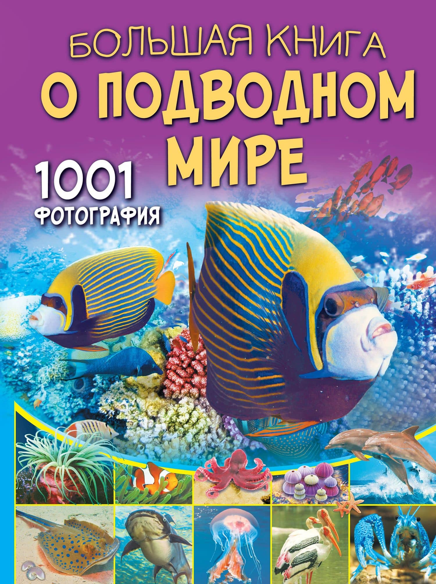 Большая книга о подводном мире. 1001 фотография — Вячеслав Ликсо