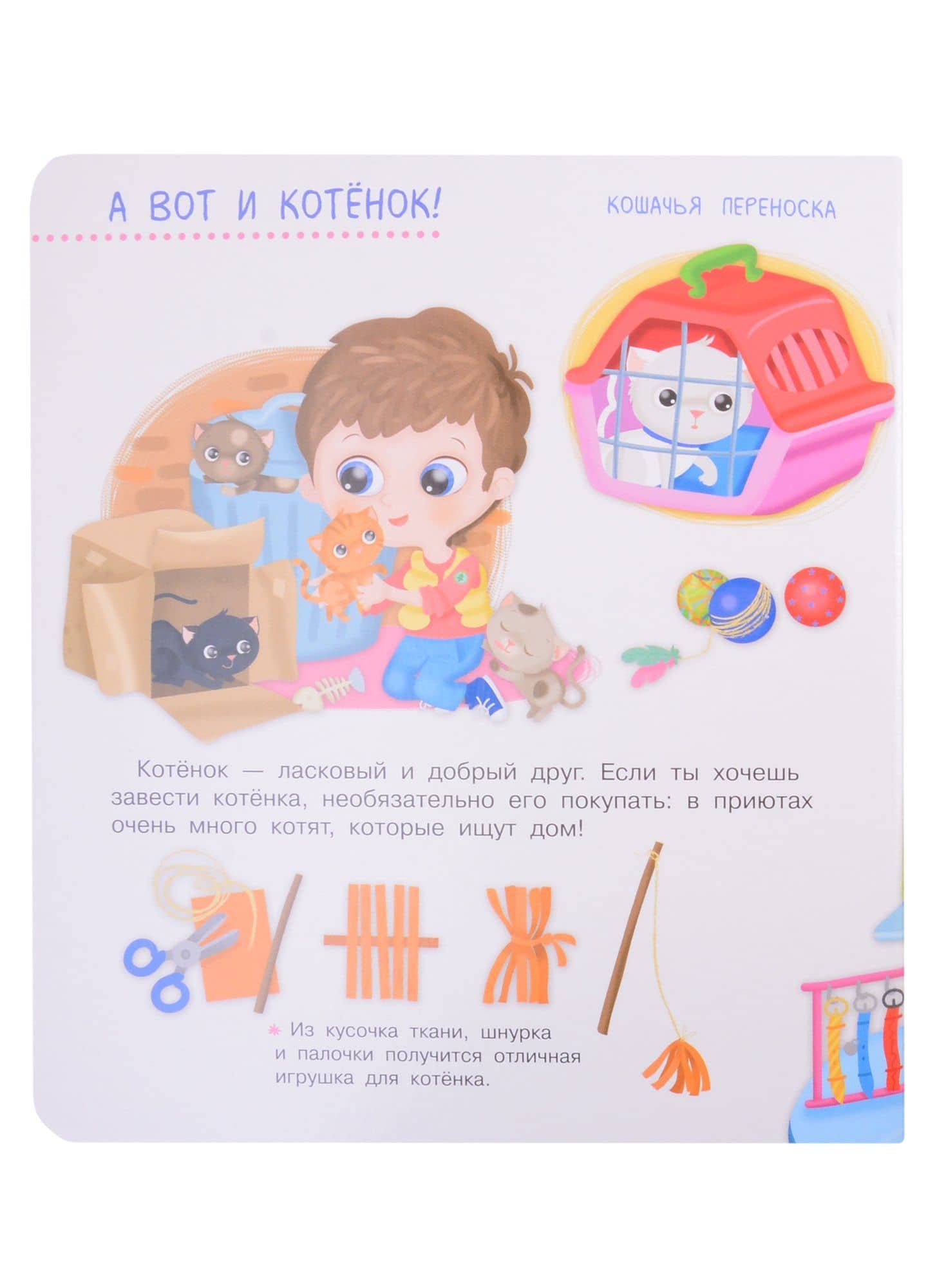 Что? Почему? Зачем? Про котят. 50 волшебных окошек — Иллария Барсотти (2)