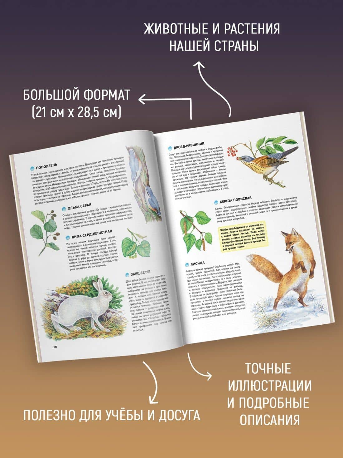 Природа России. Иллюстрированная энциклопедия — Тамара Романова (3)