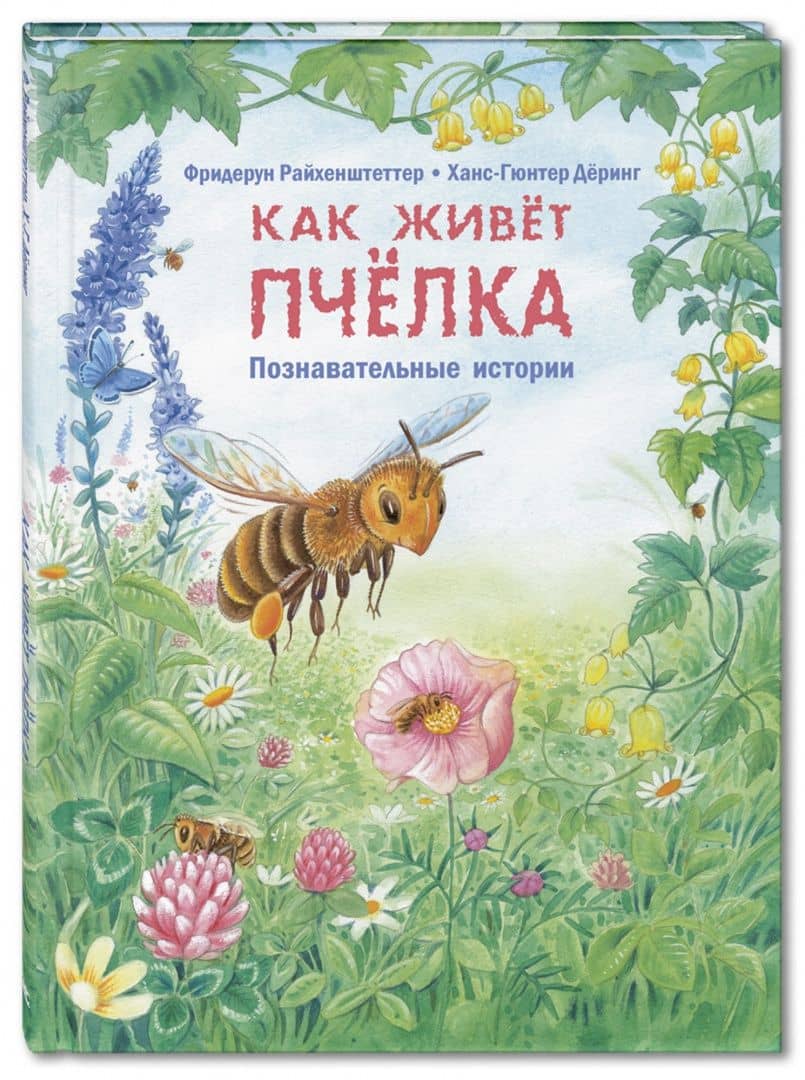 Как живёт пчёлка. Познавательные истории — Фридерун Райхенштеттер (2)