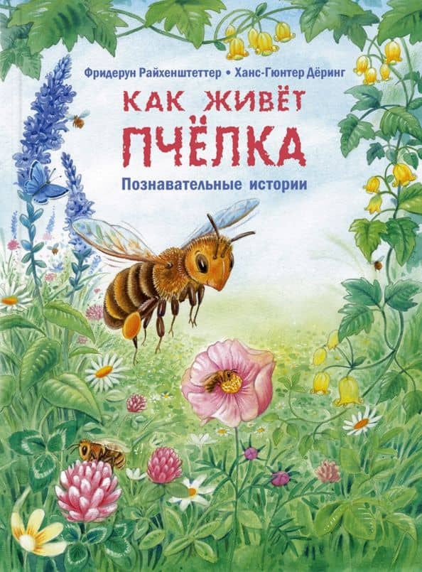 Как живёт пчёлка. Познавательные истории — Фридерун Райхенштеттер