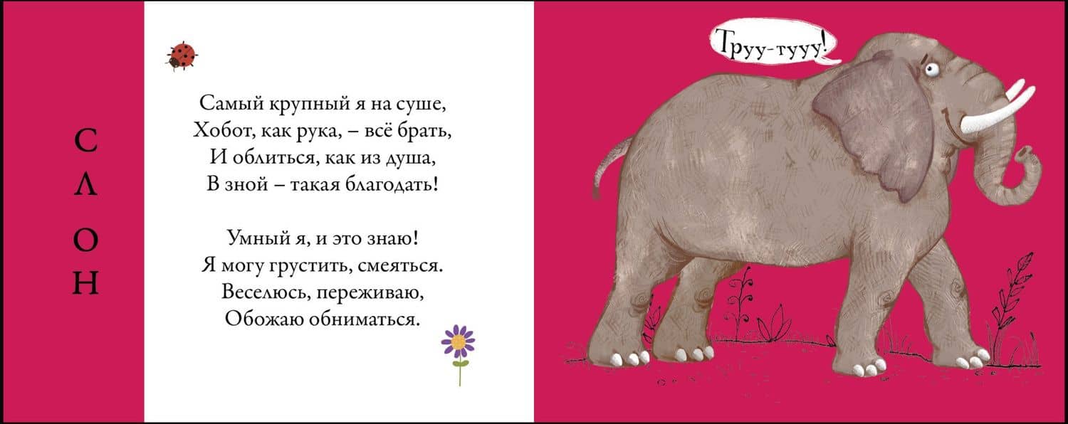 Дикие животные. Подбери картинки-половинки! — Евгений Анатольевич Сосновский (3)