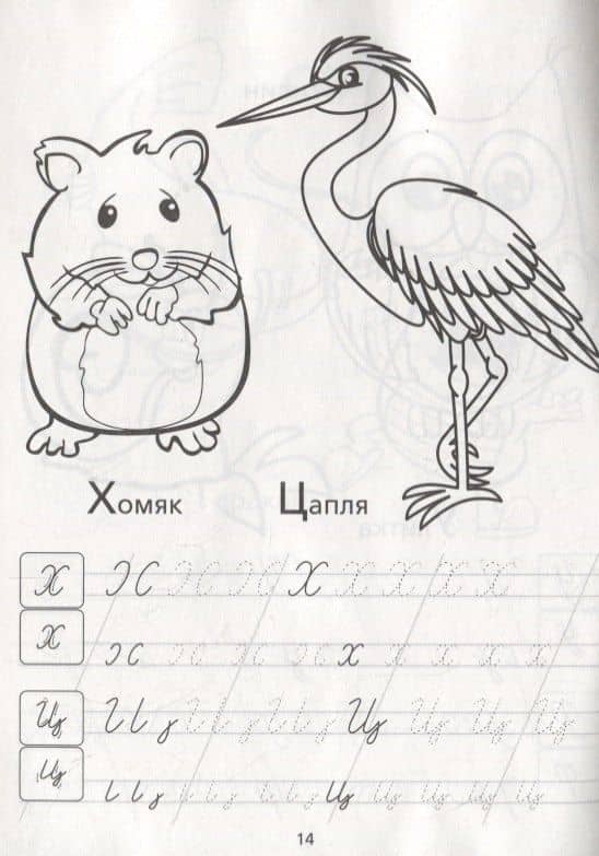 Раскраска-пропись «Прописные буквы» — Е. Сачкова (2)