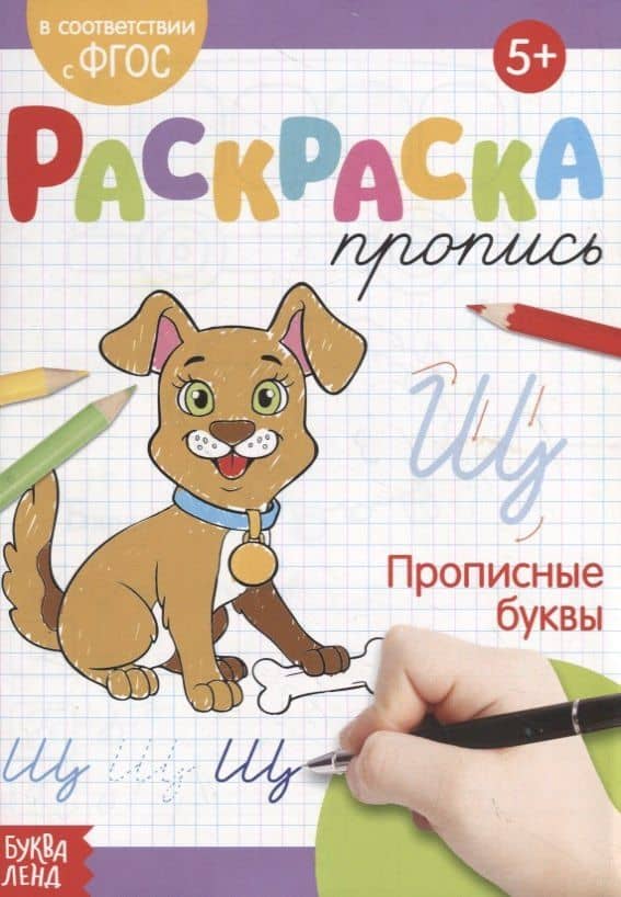 Раскраска-пропись «Прописные буквы» — Е. Сачкова