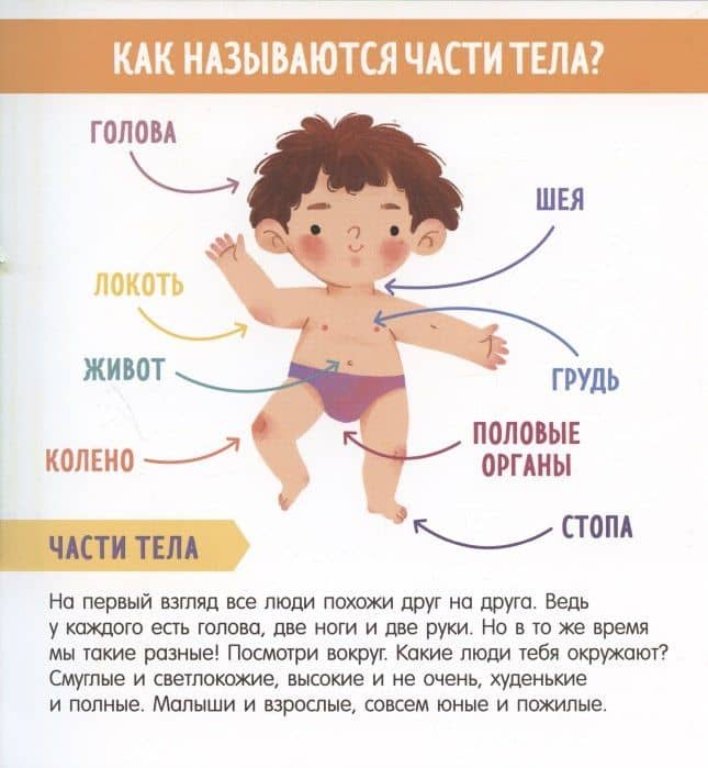 Найди и покажи, малыш. Мое тело — Скорпианна (3)