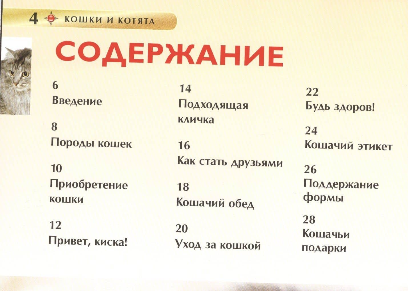 Кошки и котята. Детская энциклопедия — Ирина Владимировна Травина (2)