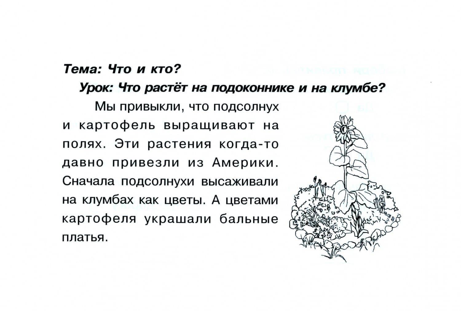Окружающий мир. Суперблиц. 1 класс. ФГОС НОО — А. Н. Савельев (2)