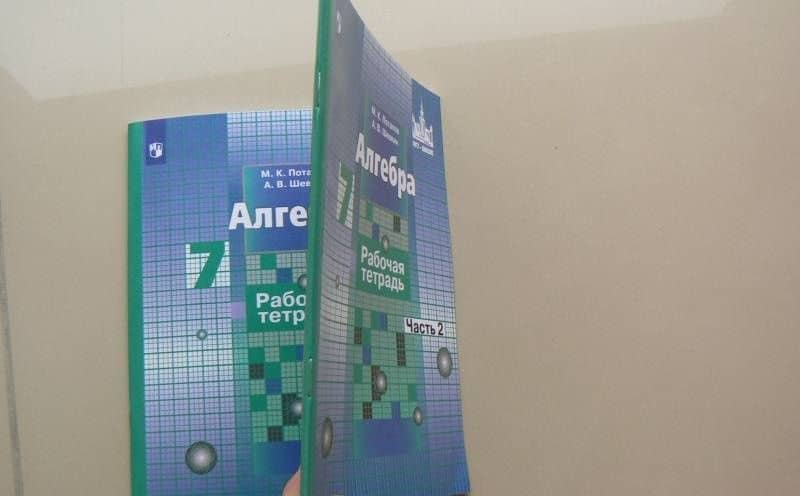Алгебра. 7 класс. Рабочая тетрадь. Часть 2. ФГОС — Михаил Константинович Потапов (3)