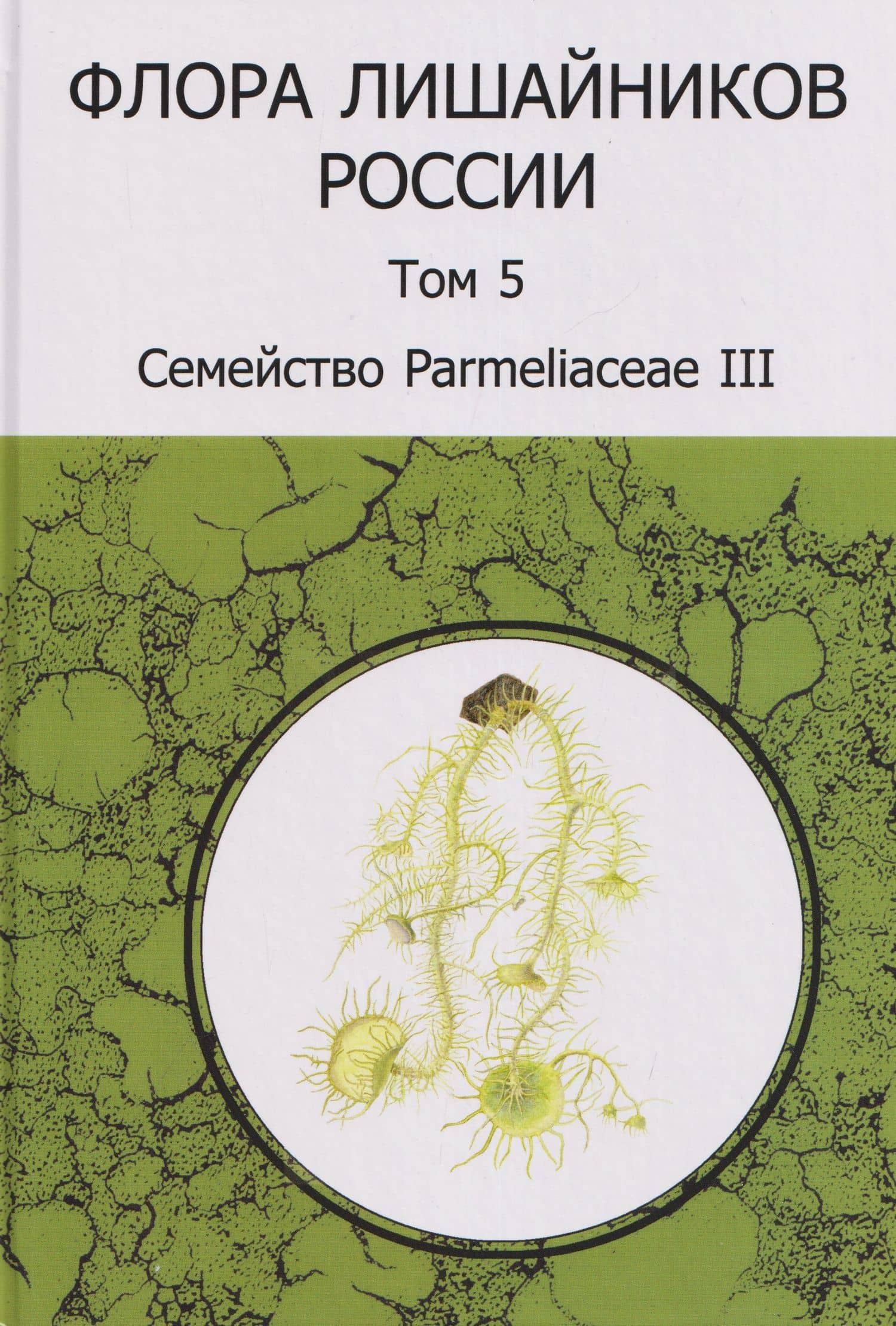 Флора лишайников России. Том 5. Семейство Parmeliaceae III — Дмитрий Евгеньевич Гимельбрант