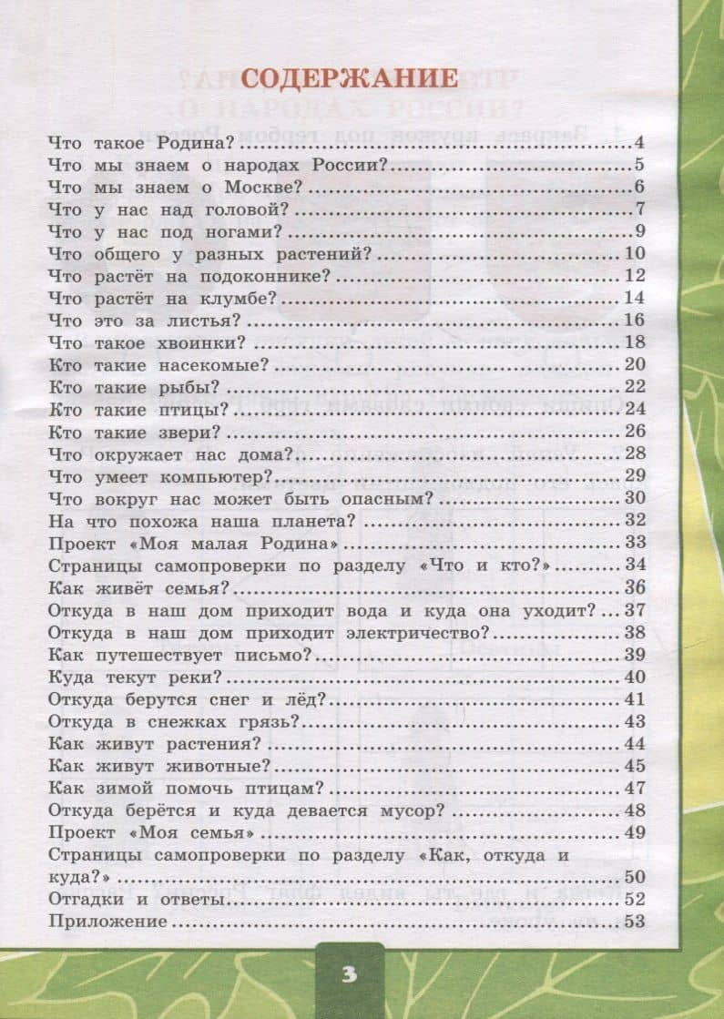 Тетрадь для практических работ № 1 с дневником наблюдений по предмету «Окружающий мир»: 1 класс: к учебнику А.А. Плешакова «Окружающий мир. 1 класс. В 2-х частях. Часть 1». ФГОС НОВЫЙ — Елена Михайловна Тихомирова (2)