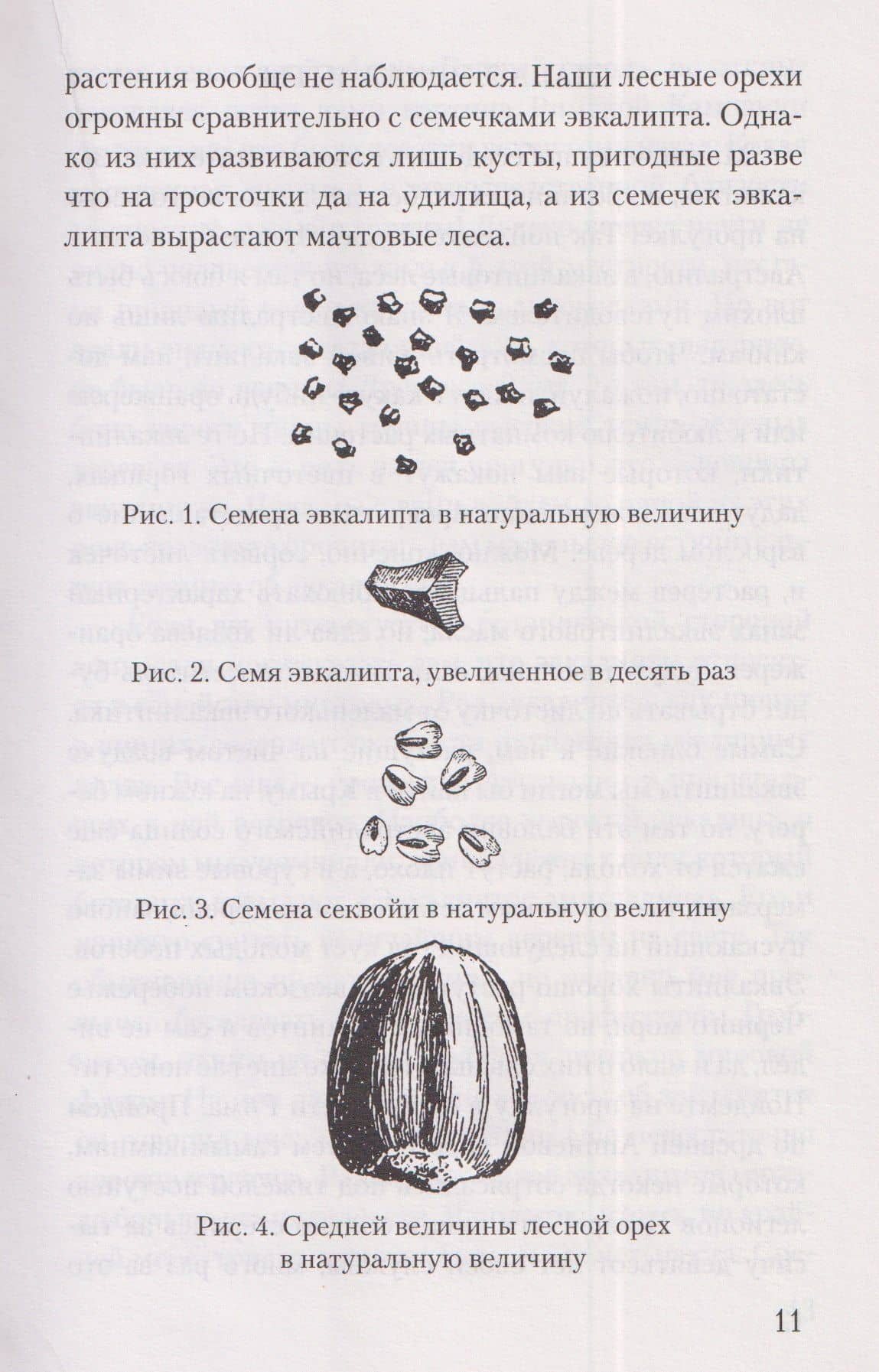 Занимательная ботаника — А. В. Цингер (3)