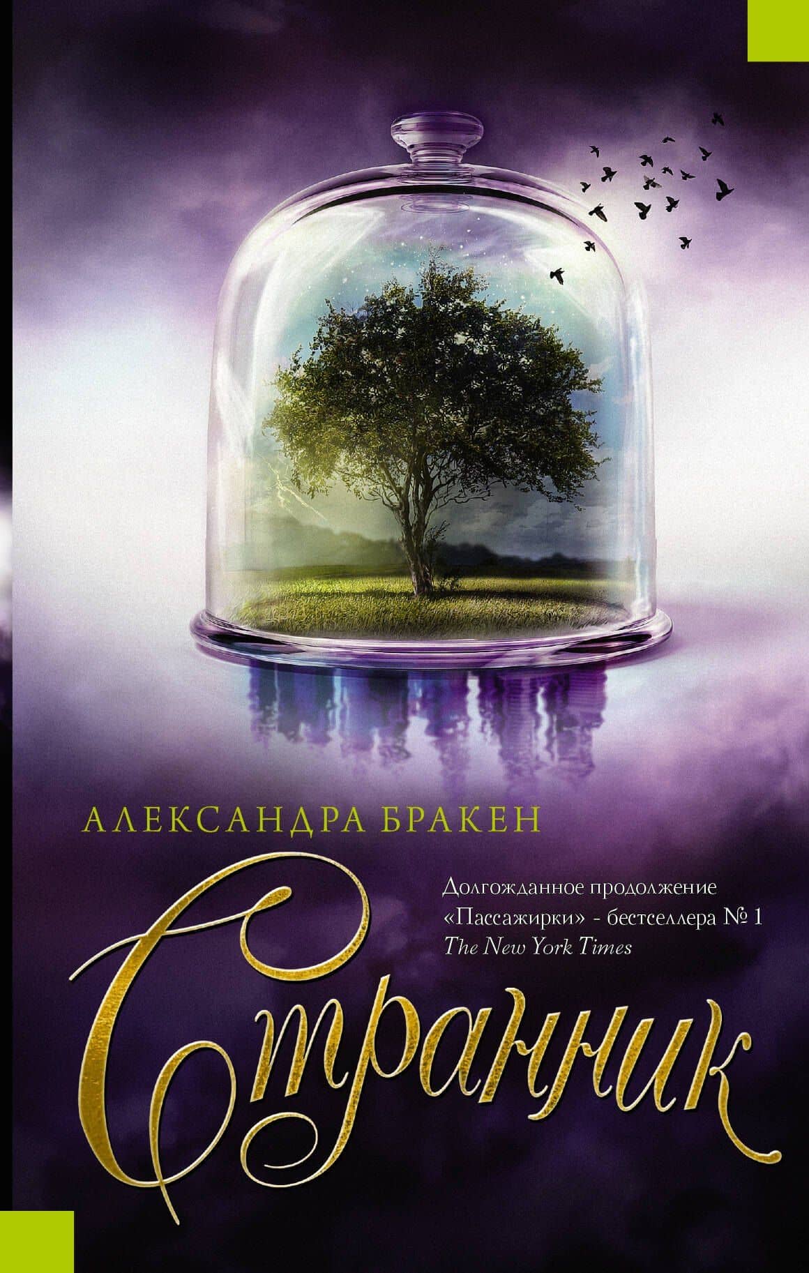 Странник : роман — Александра Бракен