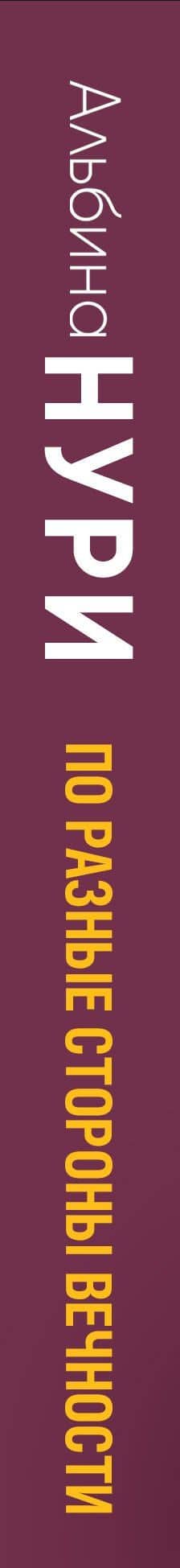 По разные стороны вечности: роман — Альбина Нури (3)