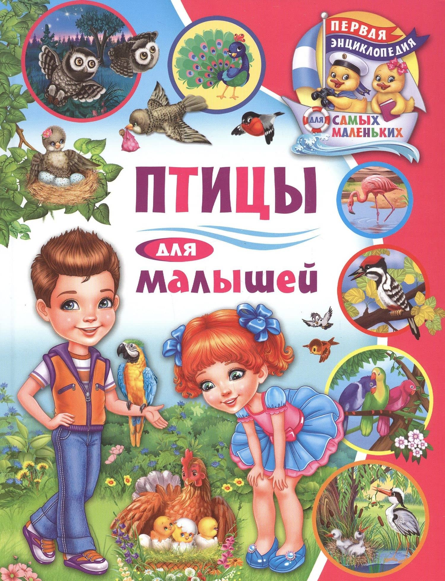 Птицы для малышей — Анна Викторовна Забирова
