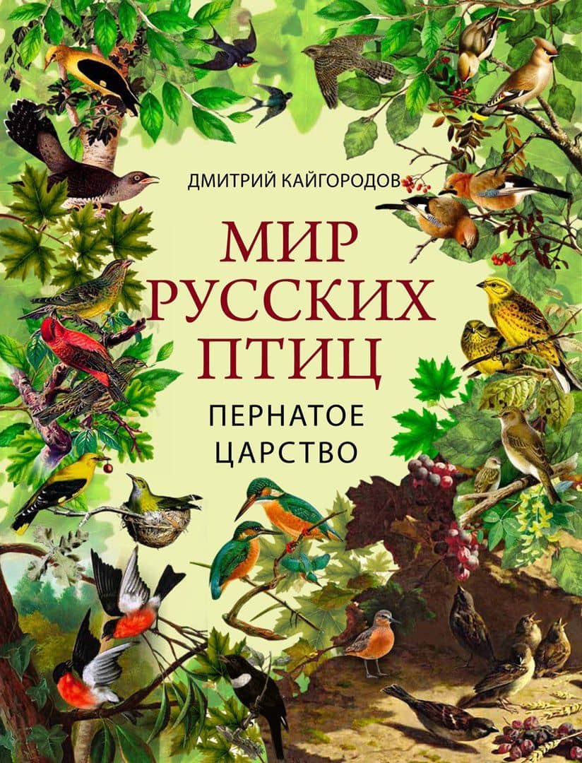 Мир русских птиц. Пернатое царство — Дмитрий Никифорович Кайгородов