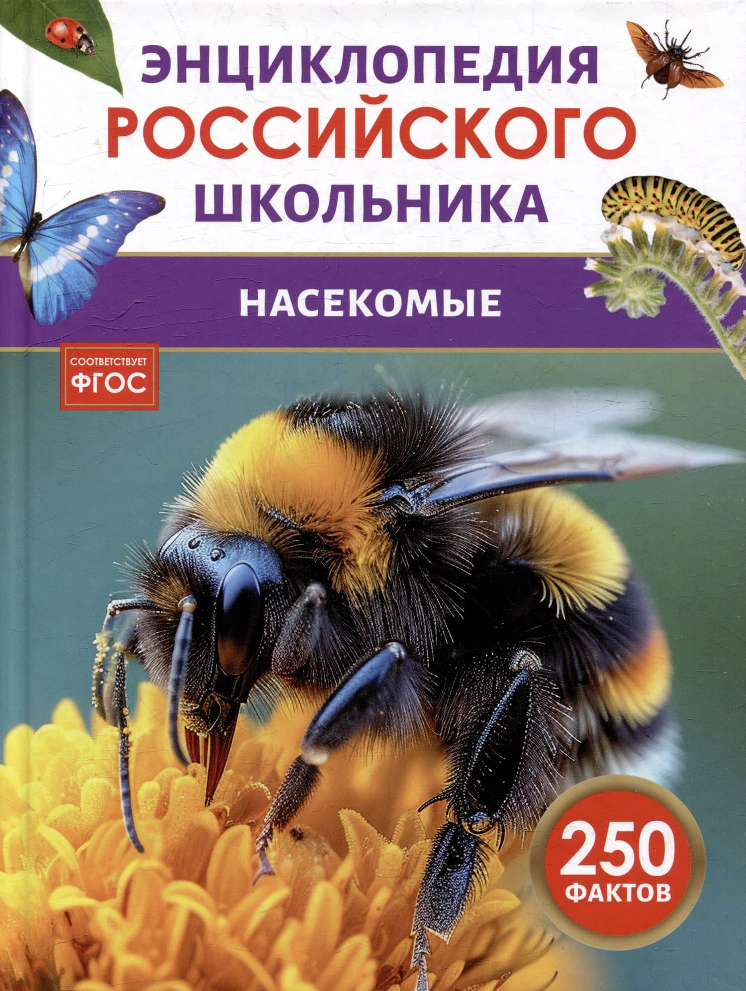 Насекомые. Энциклопедия российского школьника. 250 фактов