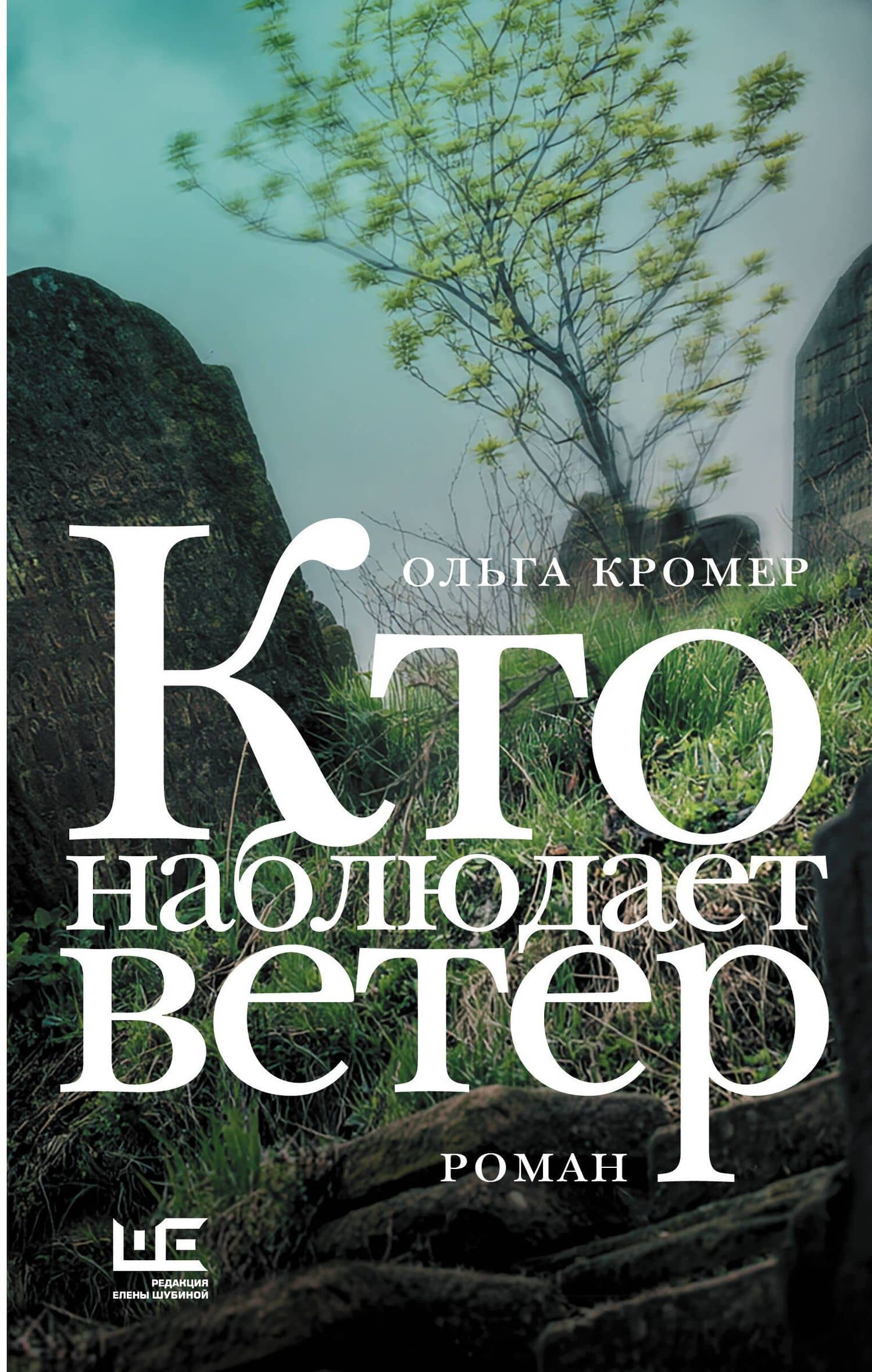 Кто наблюдает ветер — Ольга Кромер