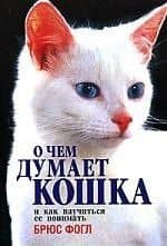 О чем думает кошка и как научиться ее понимать
