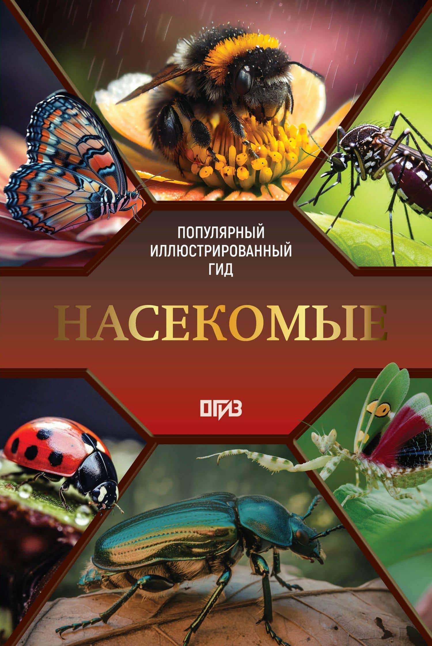 Насекомые. Иллюстрированный гид — Анна Артуровна Спектор