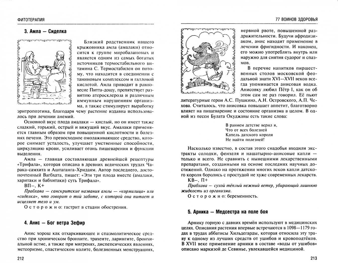 Аюрведа. Философия, диагностика, астрология и лечение — Ян Николаевич Раздобурдин (2)