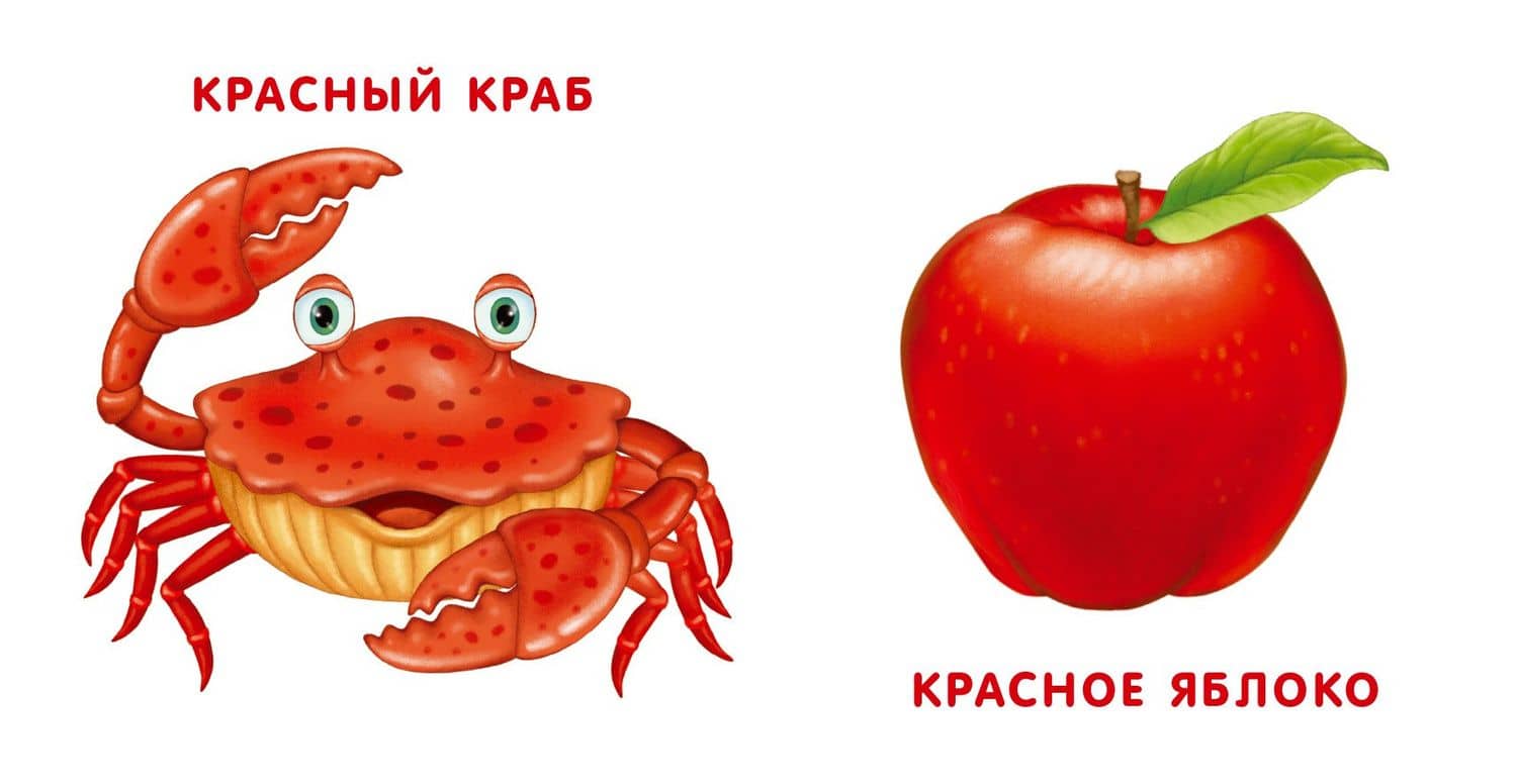 Книжки - картонки. Мои первые цвета (2)