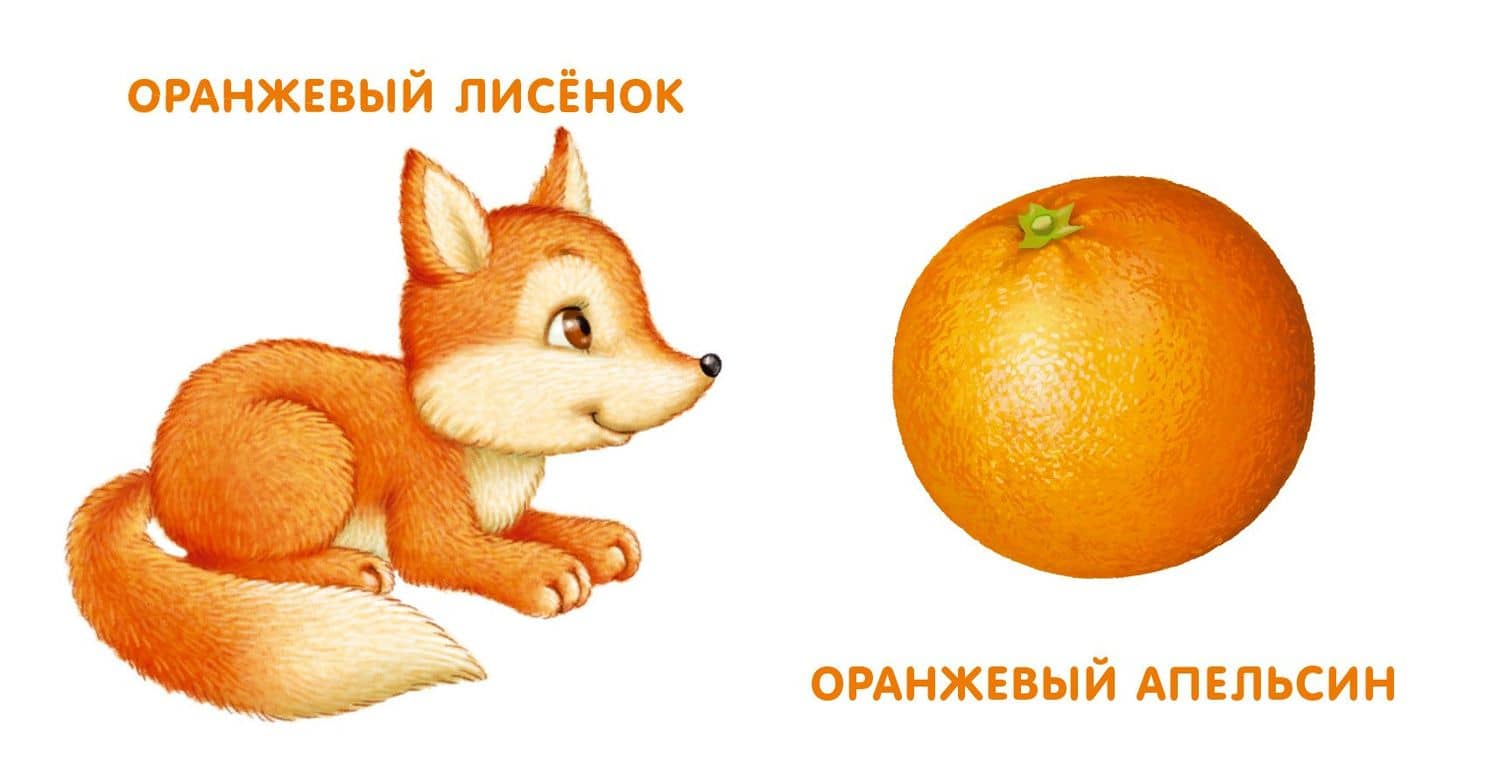 Книжки - картонки. Мои первые цвета (3)