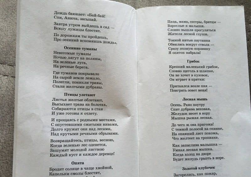 Стихи к детским праздникам. Книга для воспитателей, гувернеров и родителей — Татьяна Андреевна Шорыгина (3)