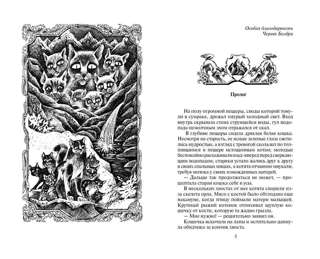 Солнечный путь — Эрин Хантер (2)