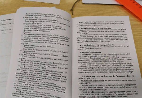 Организация работы с учащимися 5-6 классов, испытывающих трудности в усвоении школьной программы — Елена Анатольевна Чернышова (3)