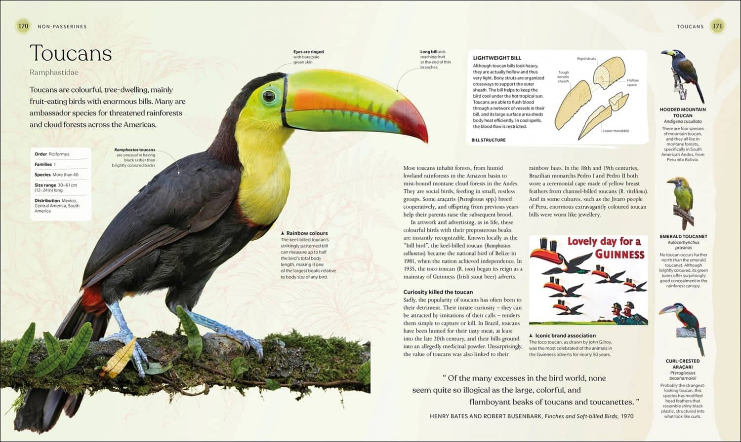 The Bird Book (3)
