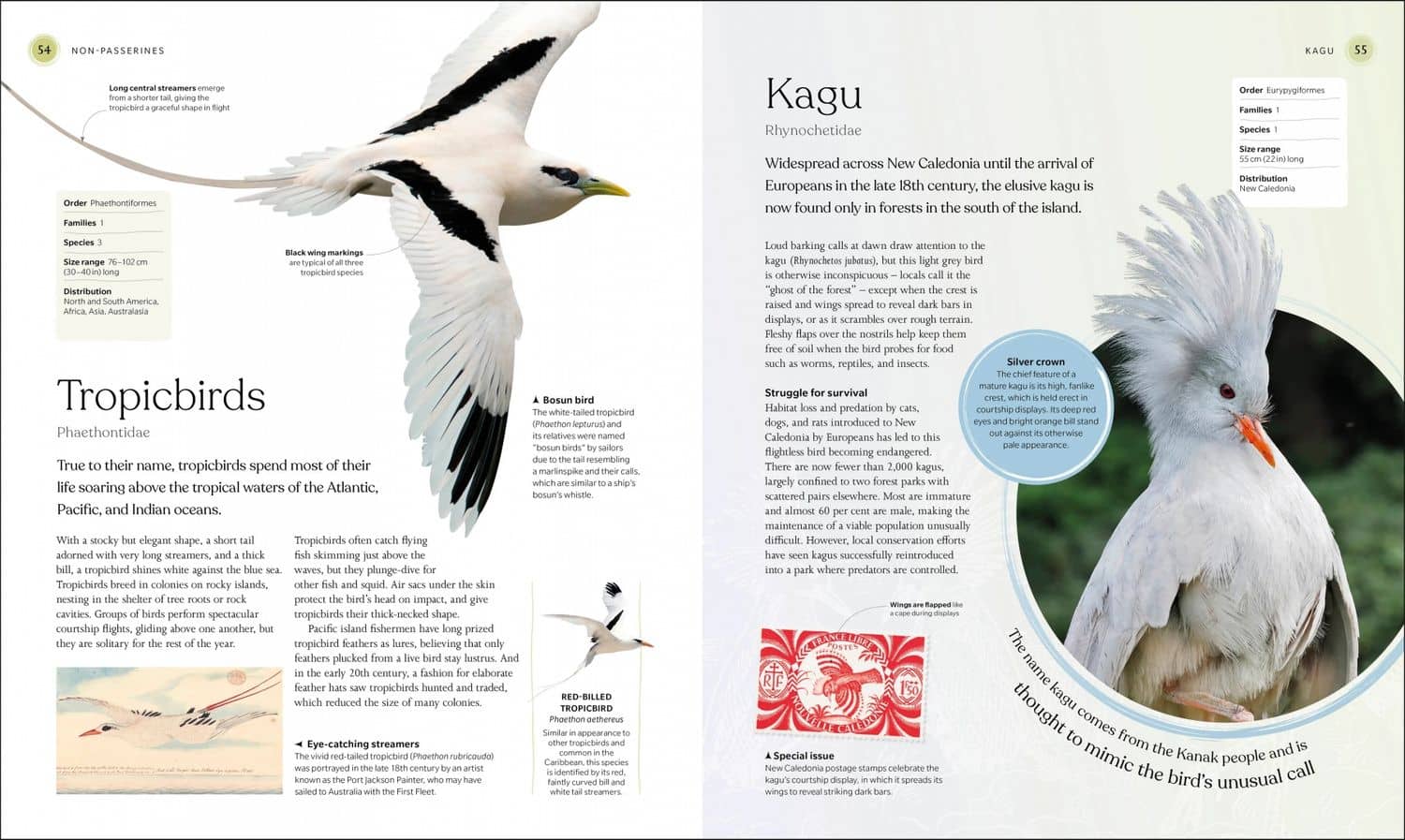 The Bird Book (2)