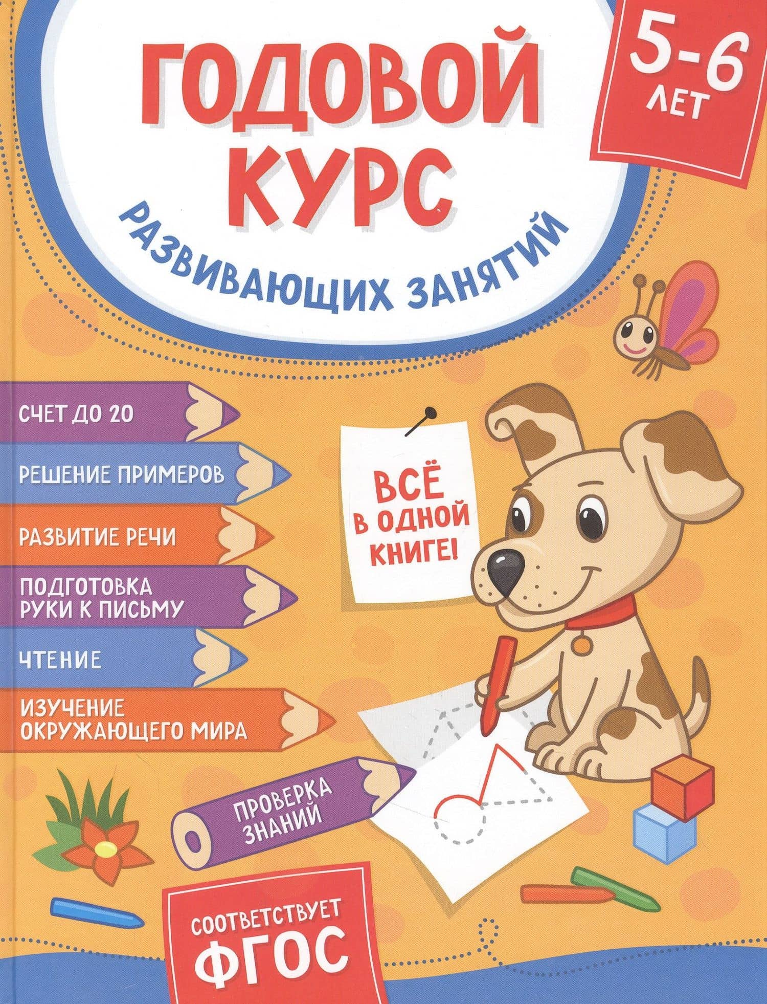 Годовой курс развивающих занятий. Для детей 5–6 лет