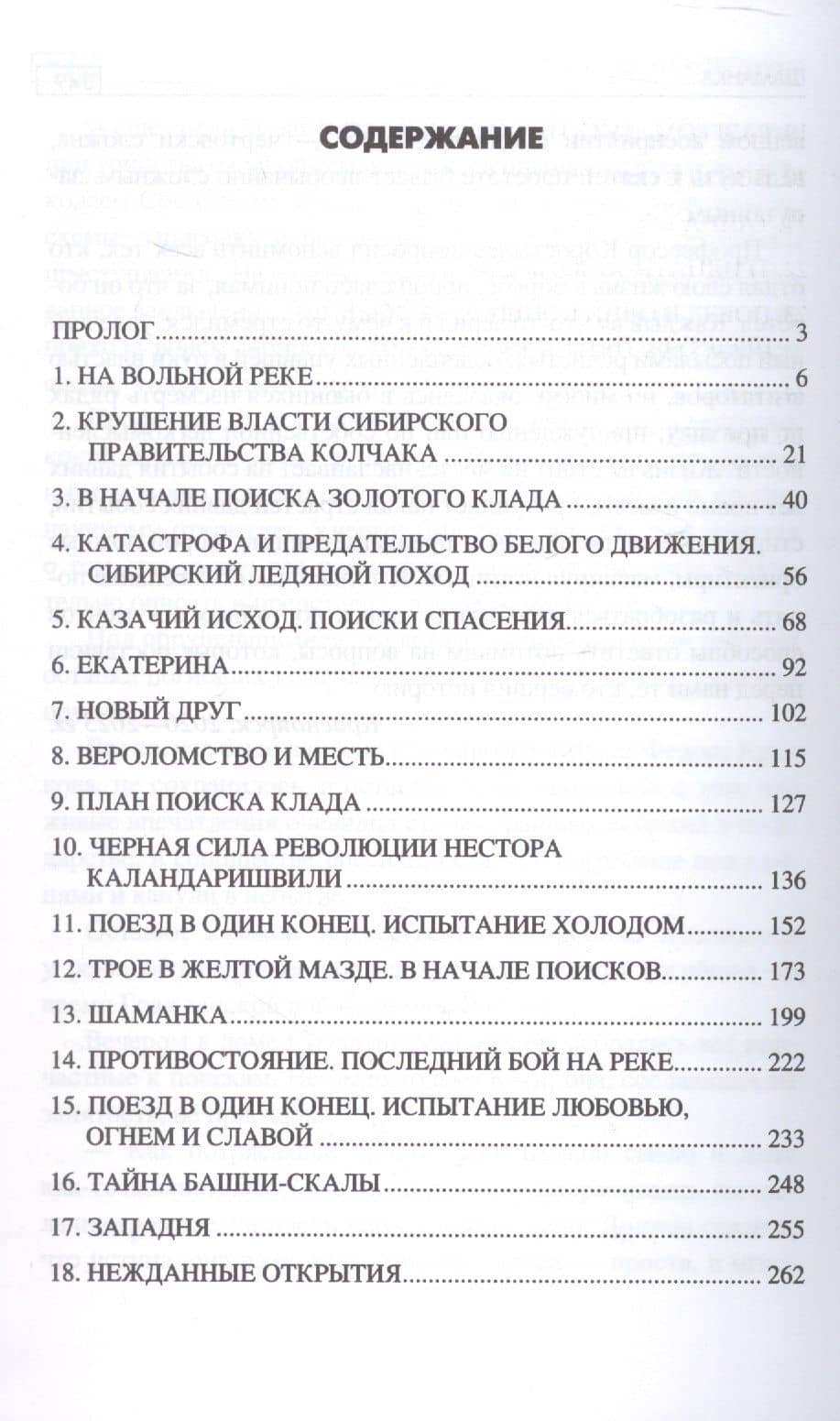 Шаманка: роман — Вячеслав Васильевич Нескоромных (3)