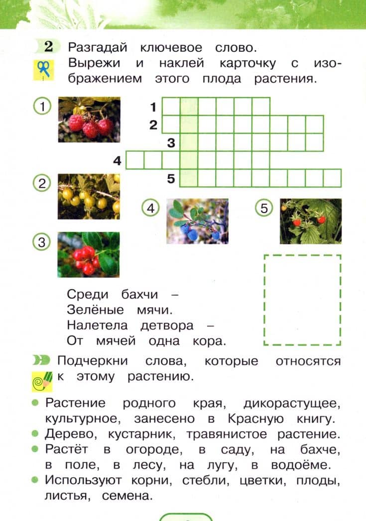 Окружающий мир. 2 класс. Рабочая тетрадь. Часть 1. ФГОС — Виктор Дмитриевич Шилин (2)