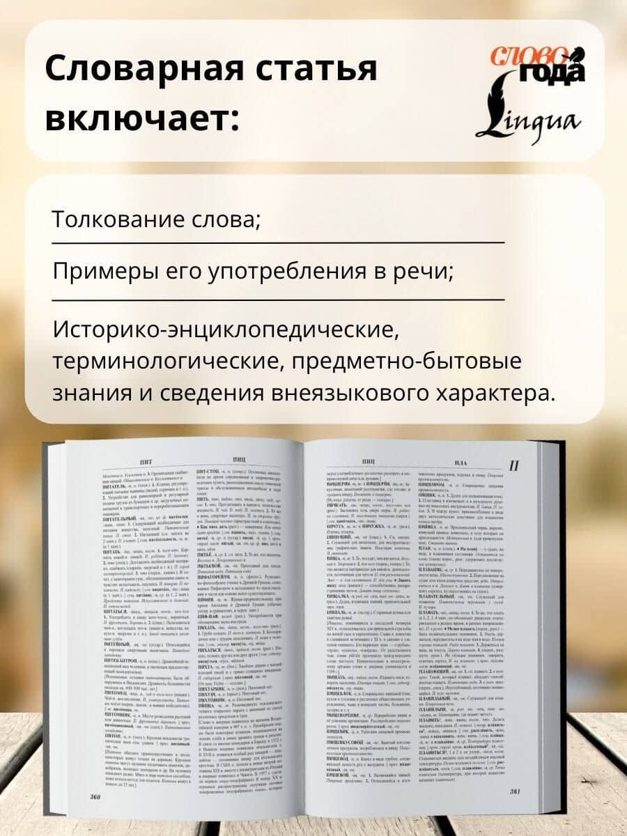 Футляр. Большой толково-объяснительный словарь. Том 1, Том 2 — Лев Иванович Скворцов (3)