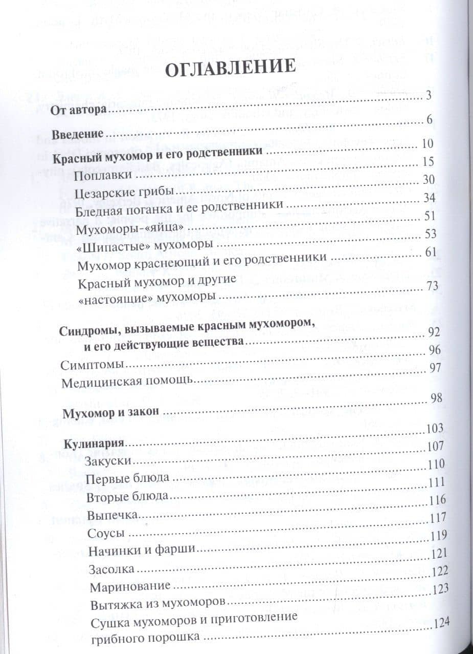 Его Величество Мухомор. — Михаил Владимирович Вишневский (2)