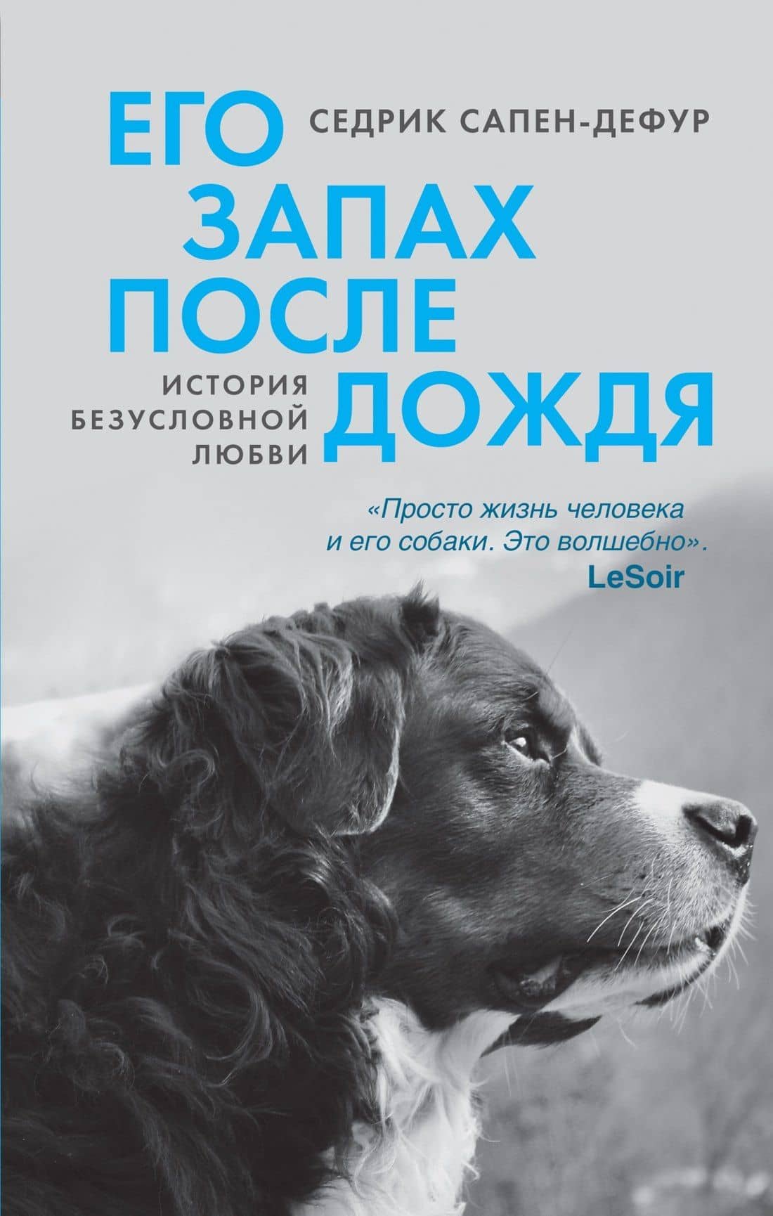 Его запах после дождя — Седрик Сапен-Дефур