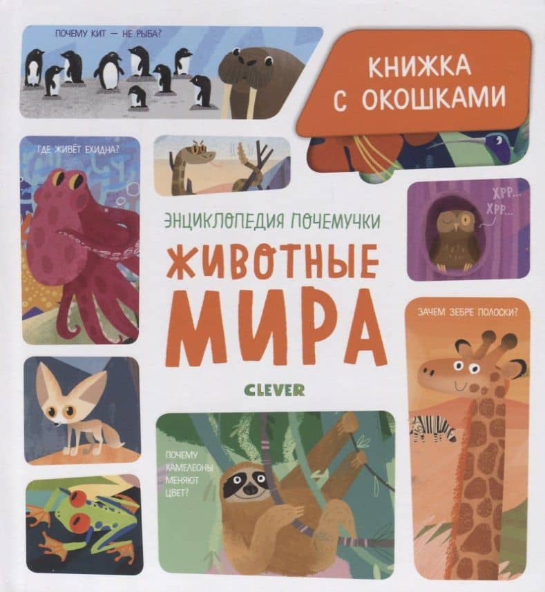 Животные мира