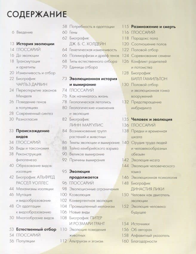 Эволюция за 30 секунд — Ник Бэтти (2)